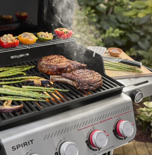 BBQ GAS Y CARBON